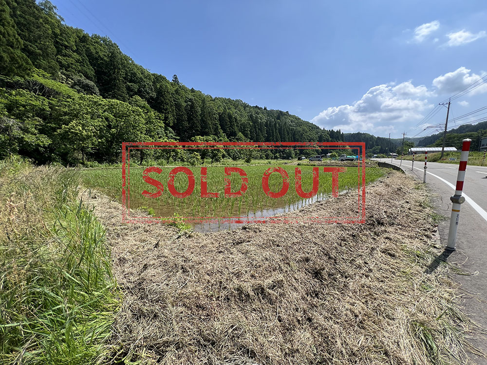 能美市坪野町　農地